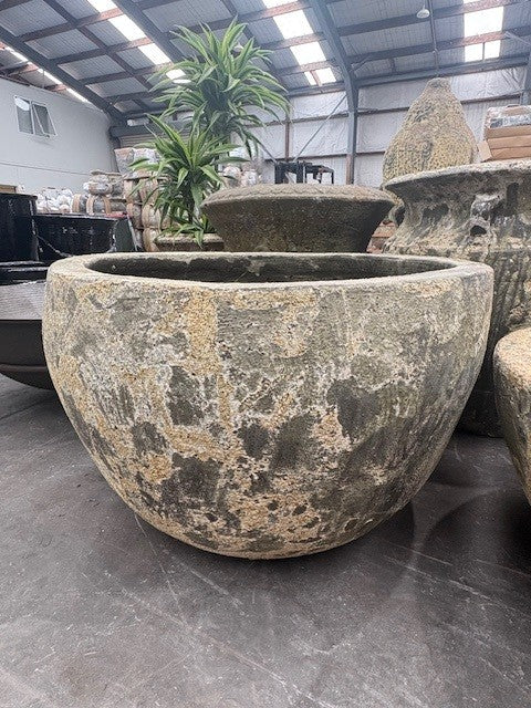 Palm Planter