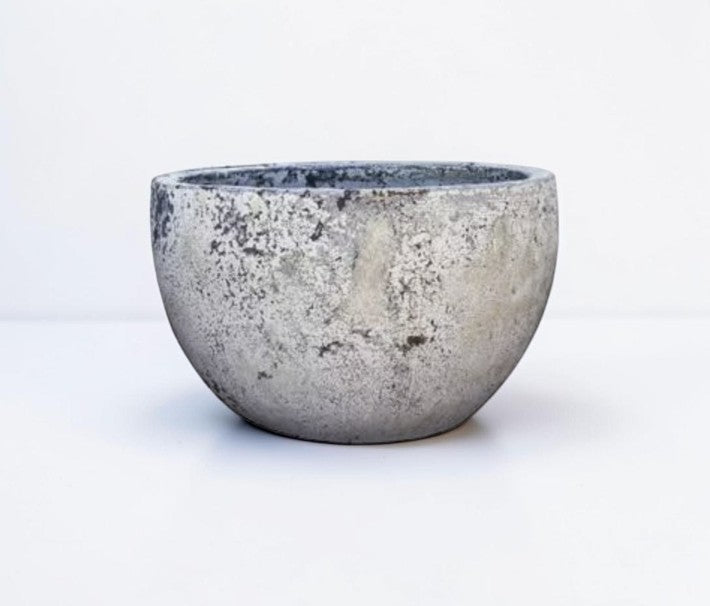 Palm Planter