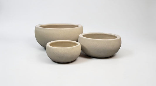 Rockford Bowl